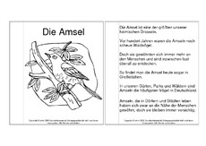 Mini-Buch-Amsel-Steckbrief.pdf